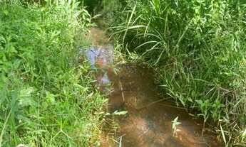 Imagem 3: CHÁCARA COM REGO D?ÁGUA