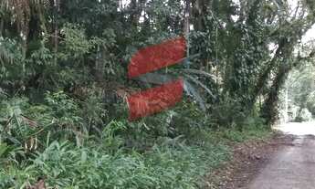 Imagem 7: CHÁCARA com 2 dormitórios à venda com 16000m² por R$ 320.000,00 no bairro Rio do Nunes - A