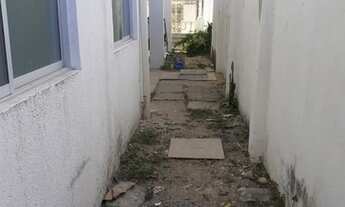 Imagem 6: Apartamento para aluguel possui 50 metros quadrados com 3 quartos em Pau Amarelo - Paulist