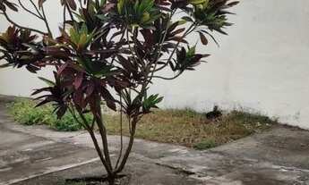 Imagem 2: Casa com 3/4 e suíte