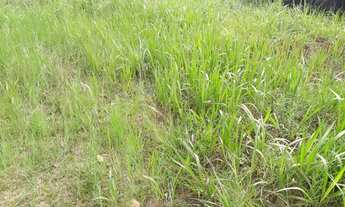 Imagem 5: Excelentíssimo terreno a uma rua da praia Saquarema - RJ !!!