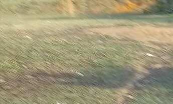 Imagem 4: Vende se um chácara em aracoiba da serra 6 mil metros