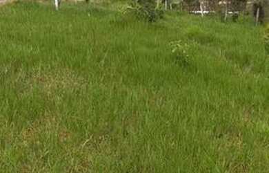 Imagem 2: Terreno Terreno / lote com venda por R$90.000