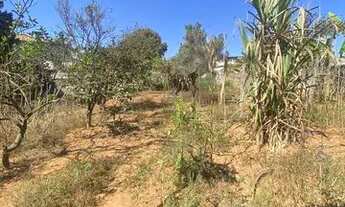 Imagem 5: Casa de 3 quartos prox ao centro de S J de Bicas