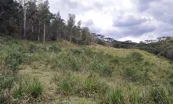 Imagem 3: Terrenos contendo 2,36 hectares em Marmelópolis- Sul de Minas Gerais