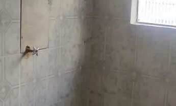 Imagem 3: Barracão para Alugar com Água e Luz Incluso