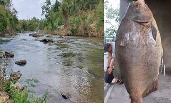 Imagem 3: Chácara á Venda, Rio Verde
