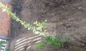 Imagem 2: Terreno residencial à venda, Jardim Colina I, Monte Mor