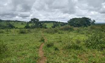 Imagem 6: Chácara 20mil metros maripotaba