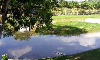 Imagem 2: Chácara Chácara com venda por R$450.000