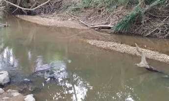 Imagem: Vendo fazenda em Nossa senhora de Livramento