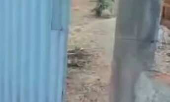 Imagem 2: Vendo chácara Casa com 2 dormitórios