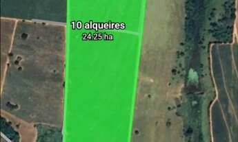 Imagem: 10 alq Cana Uchoa 100