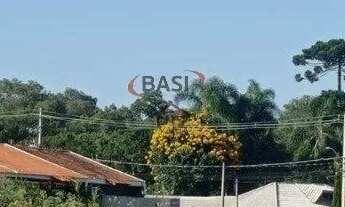 Imagem 4: TERRENO A VENDA EM SÃO JOSÉ DOS PINHAIS