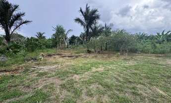 Imagem 2: TERRENO SITIO ESTRADA AM070 - KM 32 Oportunidade unica!