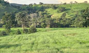 Imagem 5: Fazenda 63 alqueire