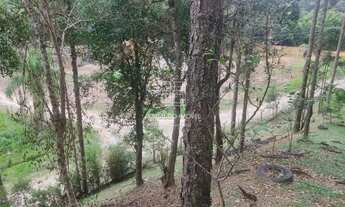 Imagem 7: Terreno à Venda Campina Grande do Sul