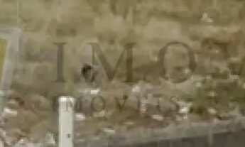 Imagem: Terreno Padrão em Ribeirão Preto