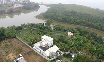 Imagem: Chácara com grande produção de Pitaia