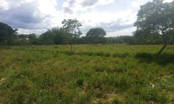 Imagem 7: Fazenda de 625 Hectares de Terras de Cultura e Cerrado Vermelho, Muita Madeira de Lei - Ri