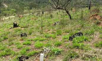 Imagem 2: Invista em Atibaia! Terrenos Próximos ao Centro com Acesso Fácil