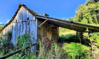 Imagem 5: Sítio / Chácara para Venda em Nova Petrópolis, Linha Riachuelo