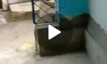 Imagem: Alugar-se por 300 reais ou Vendo por 35