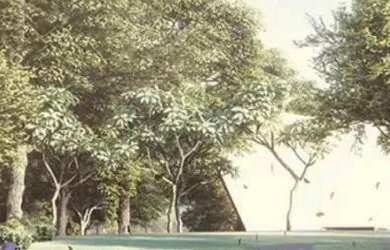 Imagem 4: Lote Jardins França, 420 m²