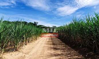 Imagem 3: Fazenda 269 alqueires ( 1, 304 hectares) Mineiros - GO