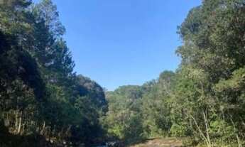 Imagem 4: 3 casas em uma no interior de São Paulo