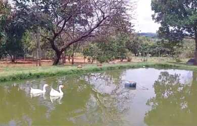 Imagem 6: Chácara 18 mil m²