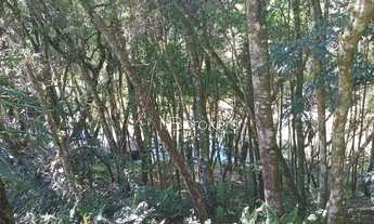 Imagem 3: Chácara /Roça Velha SJP