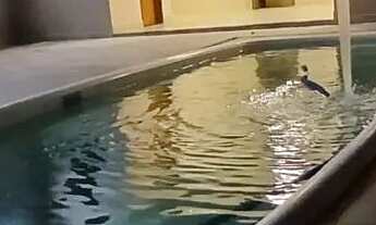 Imagem 5: Linda casa para venda em São Lourenço - MG