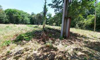 Imagem 3: Terreno ideal para sítio na estrada de Balbina km 24 comunidade São Francisco de Assis