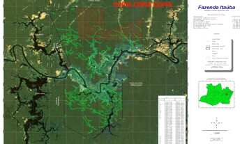 Imagem 2: Fazenda DESATIVADA com 107.960.000 m2 na AM-254/Careiro. Não tem benfeitorias. Tem 600ha d