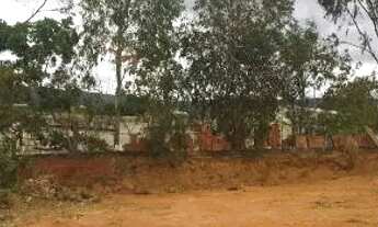 Imagem 4: Lote no Renascença