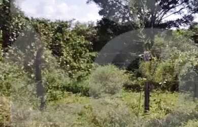 Imagem 4: Terreno no Bairro Mosqueiro com 352m² e Escritura Pronta