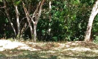 Imagem: Imóvel para venda com 885 metros quadrados