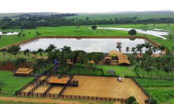 Imagem 7: Fazenda 16 alq. Alto Padrão em Nova Glória só R$ 8.500.000