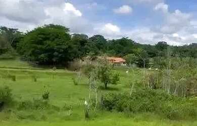 Imagem 6: Chácara à Venda em Silvânia/GO 3 Alqueires