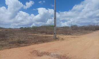 Imagem 2: Dois lotes documentados no pacajus