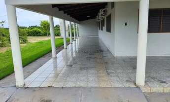 Imagem 6: Fazenda com dupla aptidão no Município a cidade de Araguapaz no estado de Goias