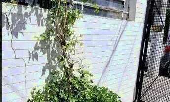 Imagem 3: Galpão para alugar, 300 m² por R$ 8.550,00/mês - Casa Verde - São Paulo/SP