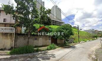 Imagem: Lote em Rua das Paineiras - Novo Horizonte