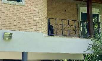 Imagem: Casa Ecológica, Árvores Frutíferas, 3