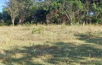 Imagem 6: Terreno Comercial as margens da MG 010