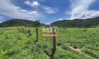 Imagem 3: Fazenda 221 alqueires (1.069 hectares) Uruaçu - GO