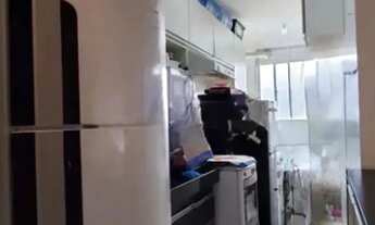 Imagem 6: Apartamento 3 dormitórios 1 suíte e 1 vaga garagem Jardim Planalto Porto Alegre