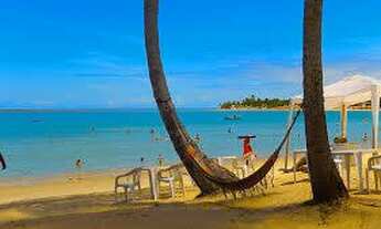 Imagem 3: Terreno em Trancoso