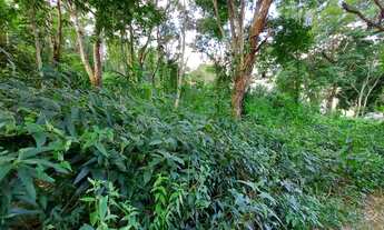 Imagem 2: Belíssimo lote há 10 passos da piscina do condomínio, pronto para construir a casa dos son